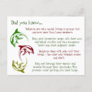 Zoek naar dolfijnen briefkaarten Ieder kind