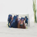 Zoek naar ponies kaarten Paarden