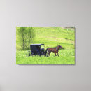 Zoek naar amish kunst Landelijk
