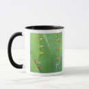 Zoek naar agave mokken Flora