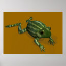 Zoek naar gekke kikker posters Schattig