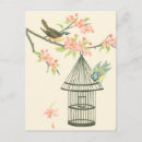 Zoek naar vogelkooi briefkaarten Bloem