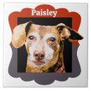 Zoek naar foto lijst tegels Aangepast