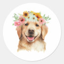 Zoek naar golden retriever stickers Floreel