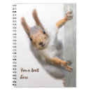 Zoek naar eekhoorn notitieboeken Natuur