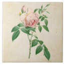 Zoek naar rosa tegels Roos