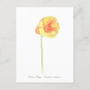 Zoek naar poppy briefkaarten Bloem