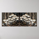 Zoek naar paddestoelen posters Voor haar