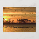 Zoek naar migratie posters Landschap