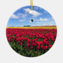 Zoek naar luchtballon ornamenten Rood