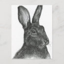 Zoek naar hazen briefkaarten Bunny