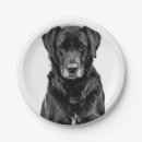 Zoek naar zwart labrador borden Gezelschapsdieren