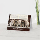 Zoek naar chihuahua puppy kaarten Puppies