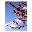 Zoek naar lui posters Blauw