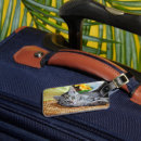Zoek naar purper accessoires Kat