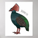 Zoek naar patrijs posters Vogel