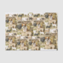 Zoek naar canine tissue papier Voor iedereen