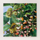 Zoek naar plantkunde puzzels Planten