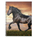 Zoek naar mooie paard notitieboeken Voor iedereen