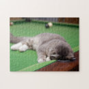 Zoek naar nieuw zeeland puzzels Fotografie