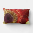 Zoek naar gerbera kussens Rood