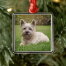 Zoek naar cairn terrier ornamenten Schattig