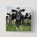 Zoek naar landbouw buttons Humor