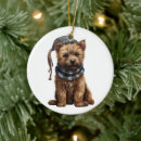 Zoek naar cairn terrier ornamenten Huisdier