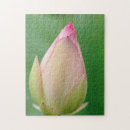 Zoek naar plantkunde puzzels Kleurenbeeld