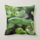 Zoek naar gevaarlijk kussens Dier