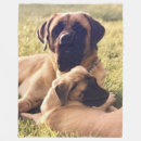 Zoek naar mastiff dekens Puppy