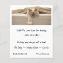 Zoek naar kat flyers Zorg voor huisdieren