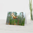 Zoek naar wimpel kaarten Elk persoon