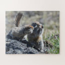 Zoek naar grond puzzels Fauna