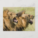 Zoek naar kruger briefkaarten Buiten