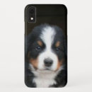Zoek naar gevallen voor 4 Hond