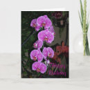 Zoek naar roze orchidee kaarten Gelukkig