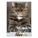 Zoek naar boze kat Grappig