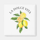 Zoek naar limoncello magneten Amalfi