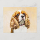 Zoek naar cavalier king charles spaniel briefkaarten Hond