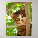 Zoek naar kat in boom posters Schattig