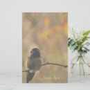 Zoek naar kolibrie briefpapier Voor iedereen