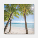 Zoek naar strand magneten Landschap