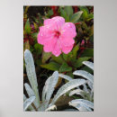 Zoek naar nat posters Bloemen