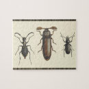 Zoek naar insecten puzzels Voor iedereen