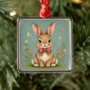 Zoek naar bruin konijn ornamenten Schattig