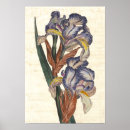 Zoek naar antiek botanische illustratie posters Voor haar