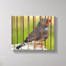 Zoek naar grappige vogel canvas prints Elk persoon