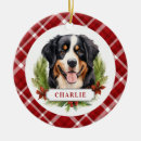 Zoek naar berner ornamenten Puppy