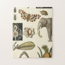Zoek naar insecten puzzels Dieren
